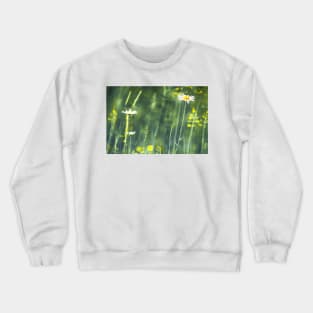 Daisy Crewneck Sweatshirt